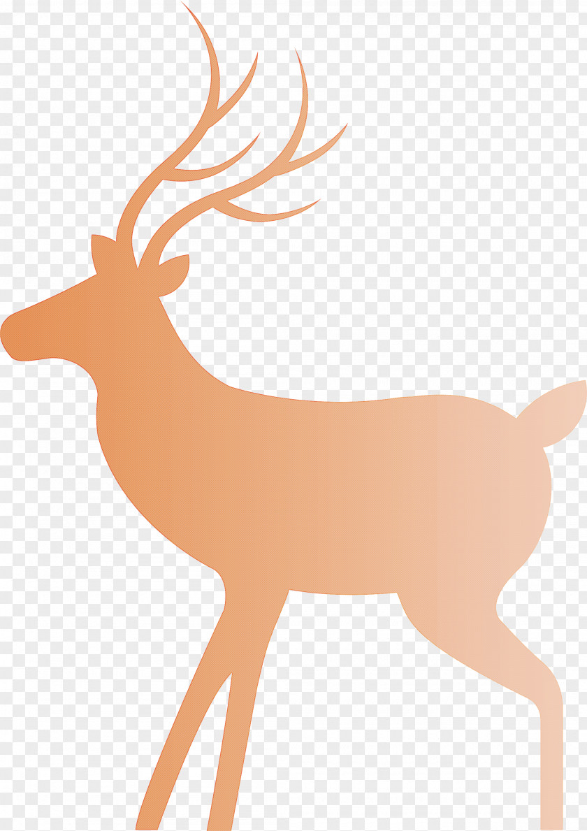 Christmas Deer Reindeer PNG