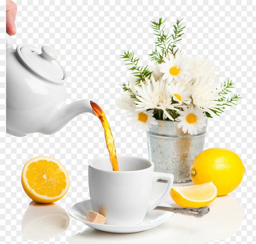 Free Time Green Tea White Teapot Teacup PNG