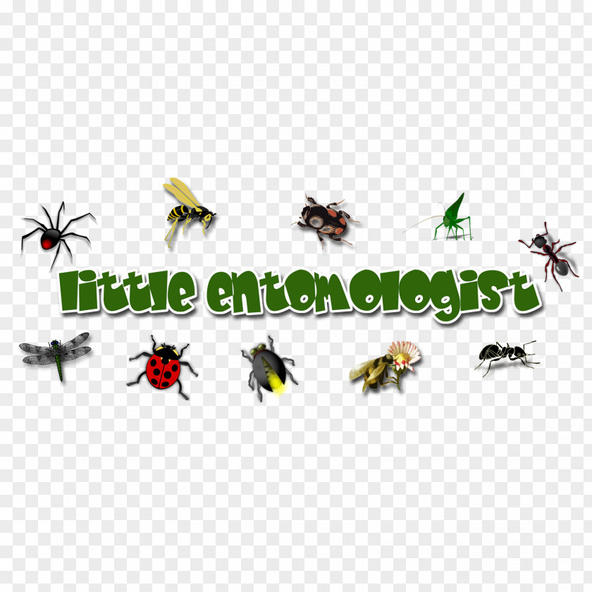 Insect Logo Pollinator Pest Font PNG
