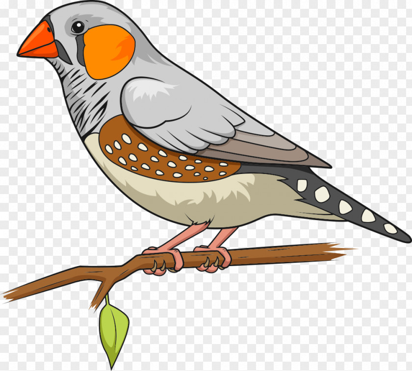 Vector Colored Parrot Bird Zebra Finch The Greatest Dot-To-Dot Adventure Book 2 Connect Dots PNG