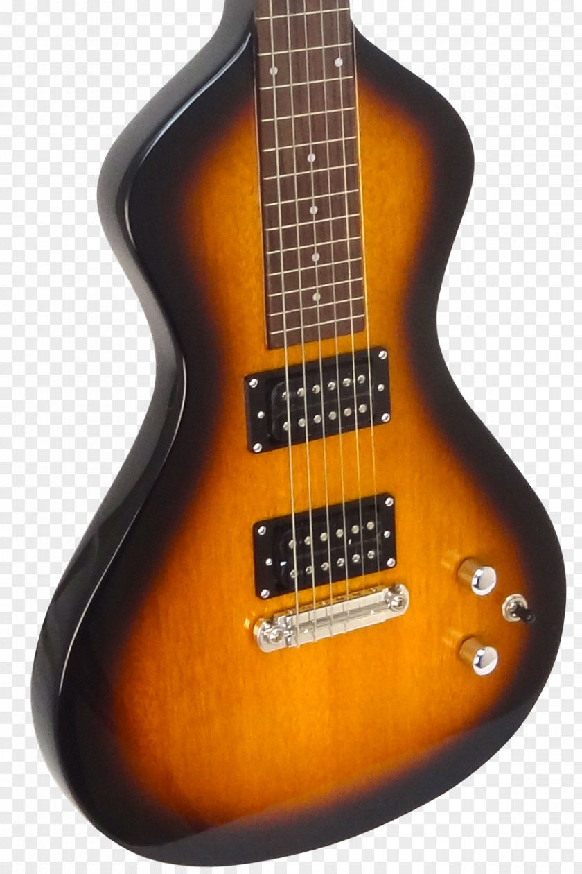 Bass Guitar Lap Steel Electric PNG