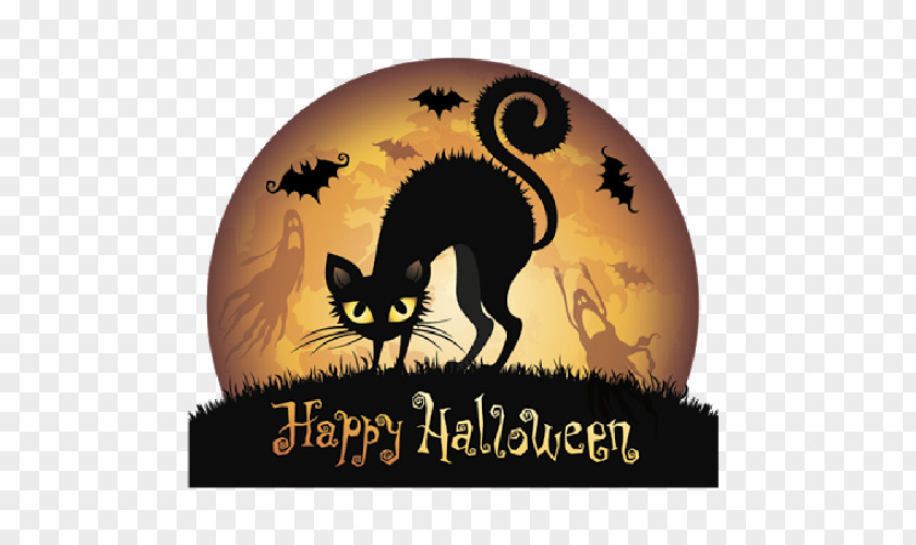 Cobweb Cartoon Halloween Black Cat Clip Art PNG