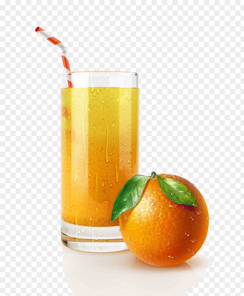 Fruit Juice Orange Cocktail Drink Drinking Straw PNG