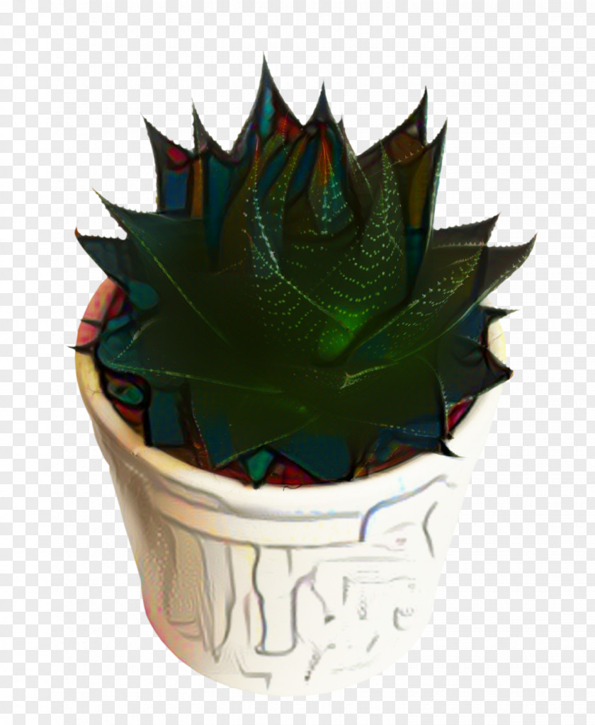 Perennial Plant Baking Cup Aloe Vera Leaf PNG
