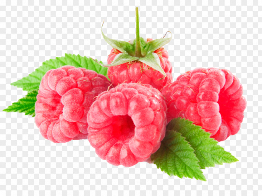 Raspberry Fruit Clip Art PNG