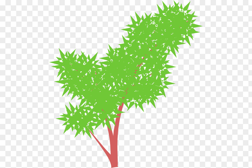 Tree Branch Clip Art Shrub PNG