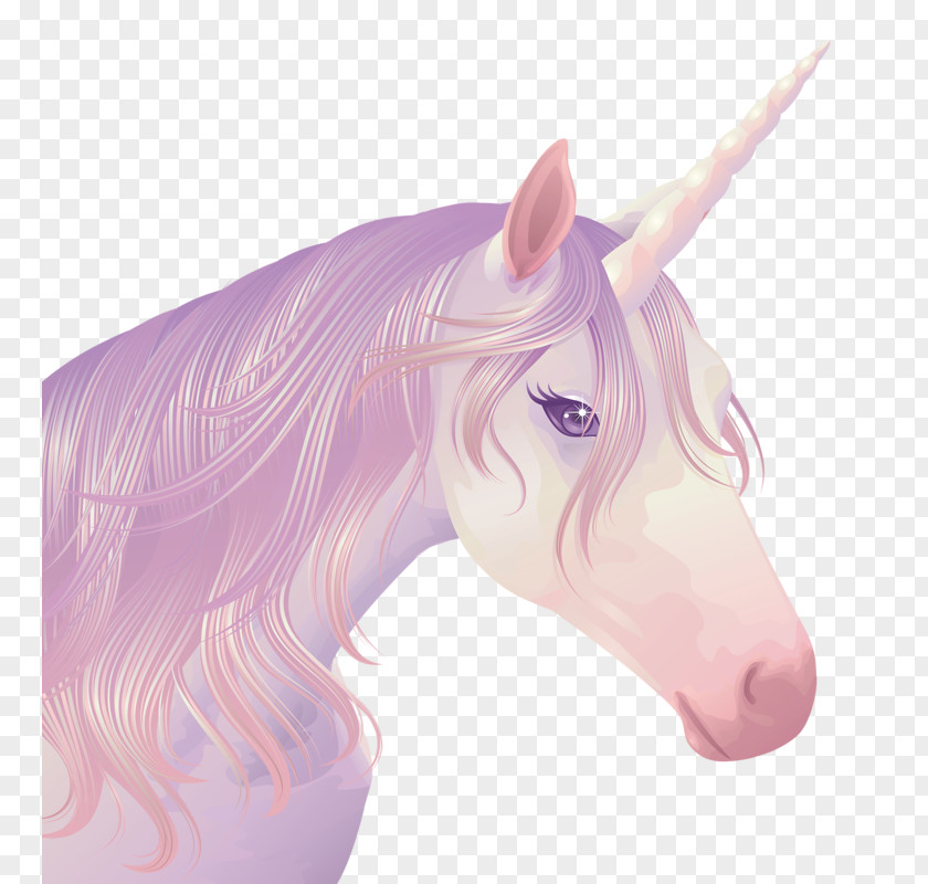 Fantasy Unicorn Crazy Pegasus PNG