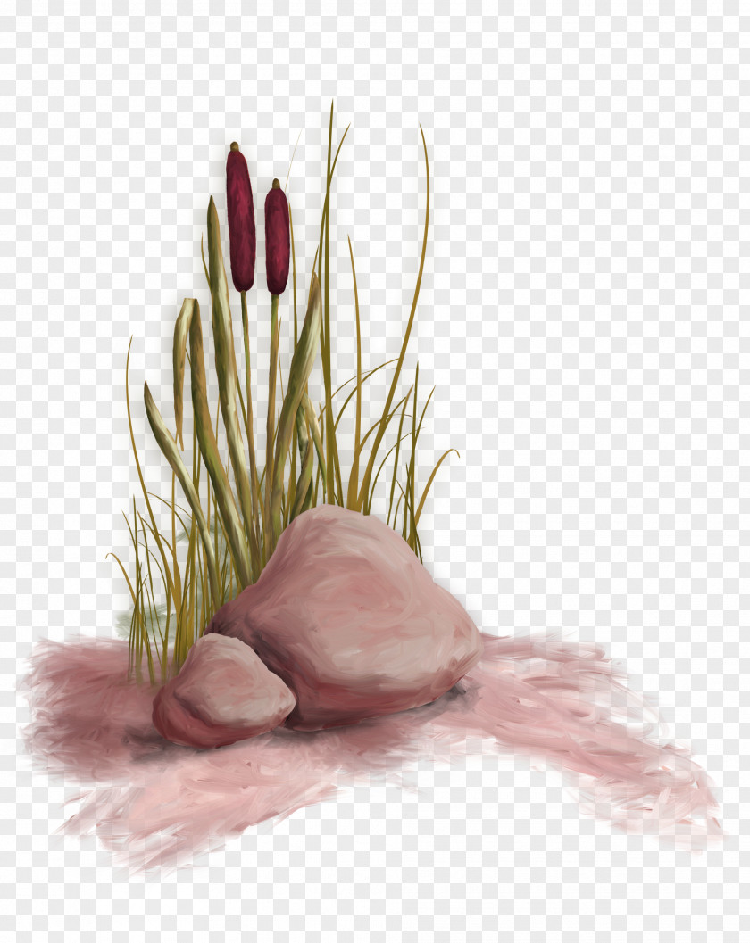 Red And Fresh Stone Decoration Pattern Aquatic Plant Green PNG