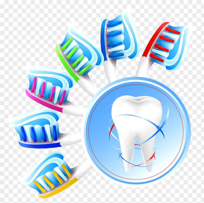 Toothbrush Teeth Dentistry Human Tooth Cleaning PNG