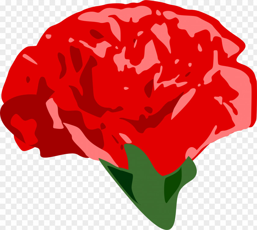 CARNATION Drawing Clip Art PNG