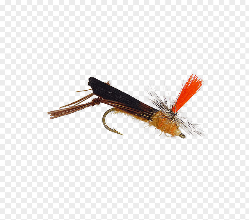 Fly Fishing Parachute Artificial Insect PNG