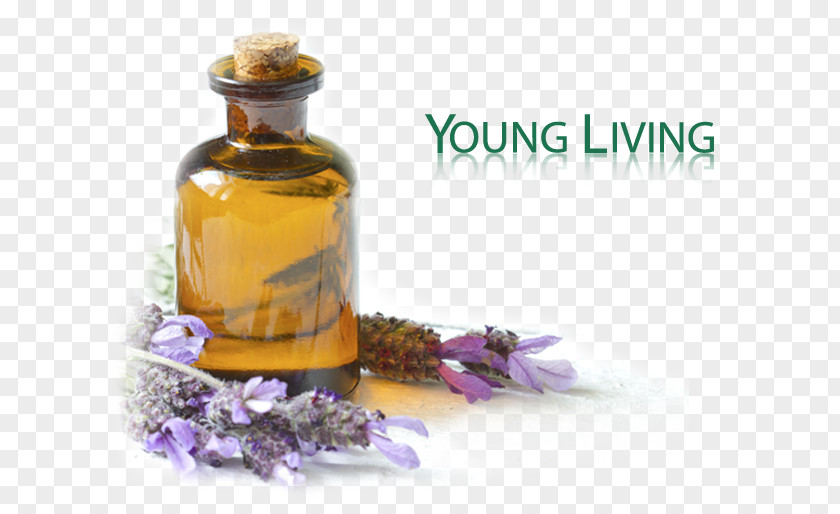 Health Essential Oil Cure Lavender PNG