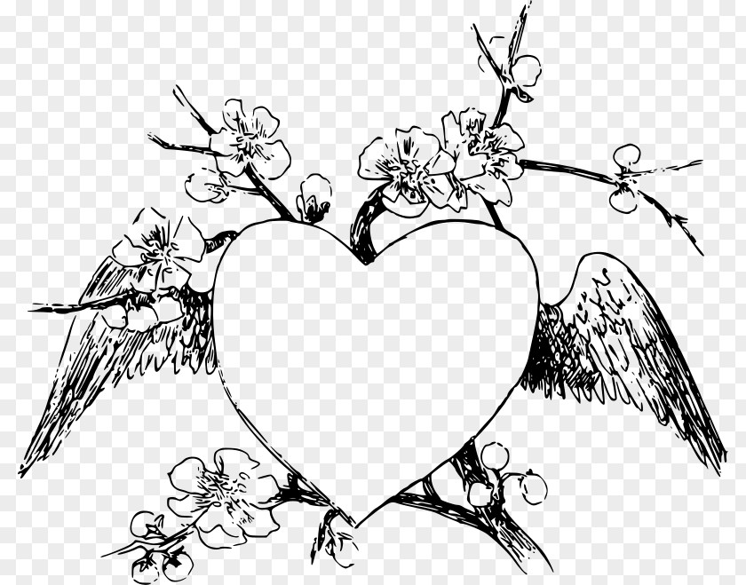 Heart Wing Line Art Drawing Clip PNG