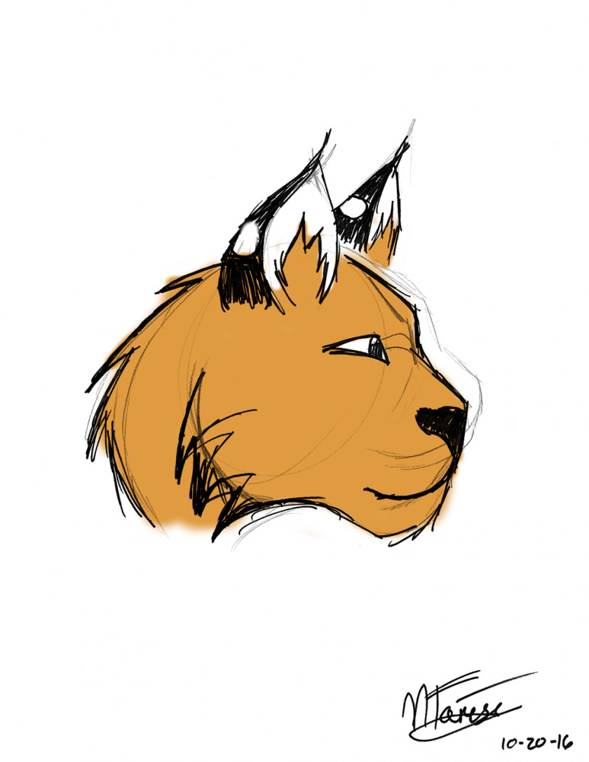 Lynx Cat Lion Mammal Carnivora Snout PNG