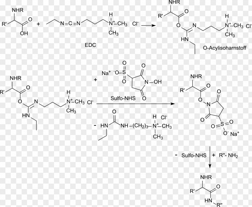 N-Hydroxysulfosuccinimide Sodium Salt N-Hydroxysuccinimide Hydroxybenzotriazole PH Carboxylic Acid PNG