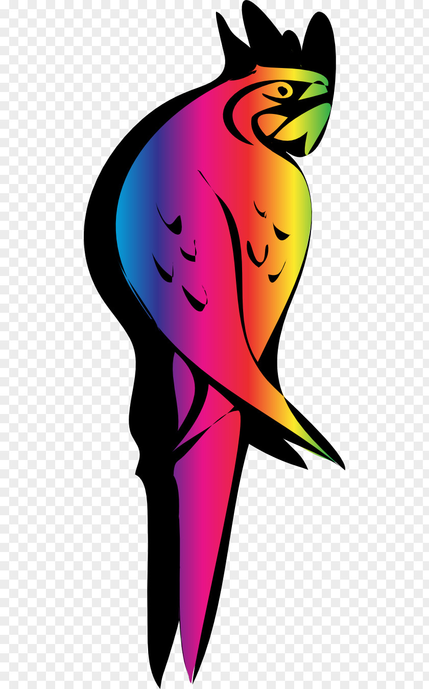 Parrot Clip Art PNG