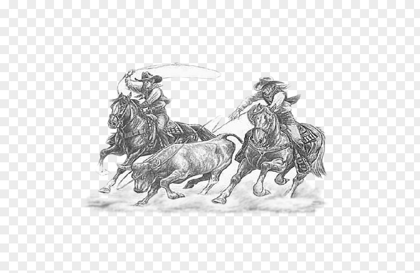 RODEO Cattle Calf Roping Drawing Team Rodeo PNG