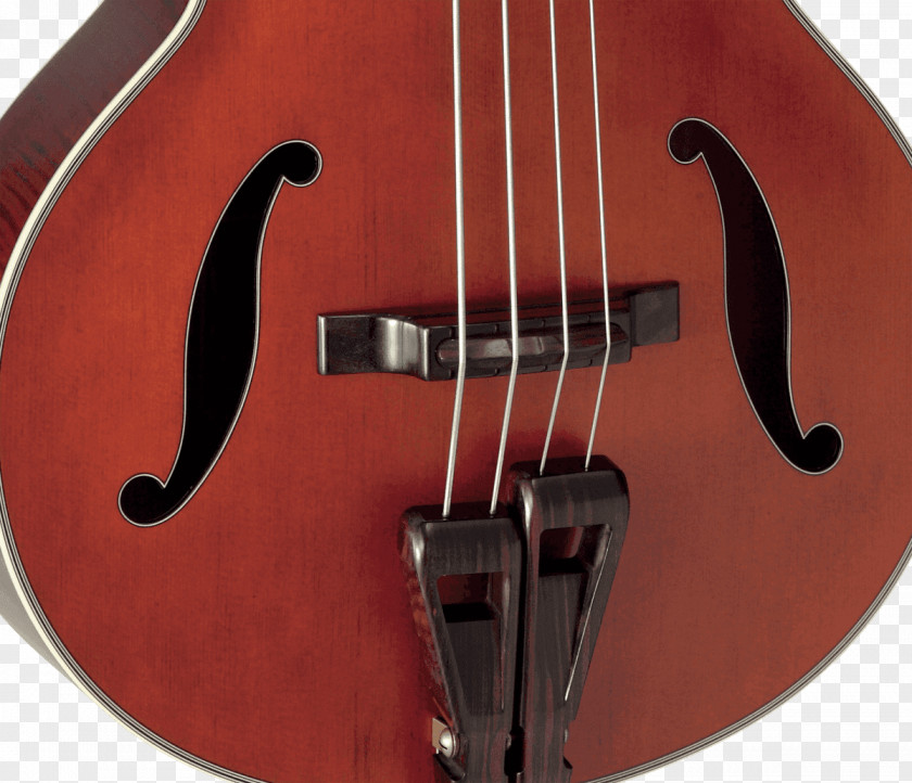 Bass Guitar Violin Double Violone Acoustic-electric PNG