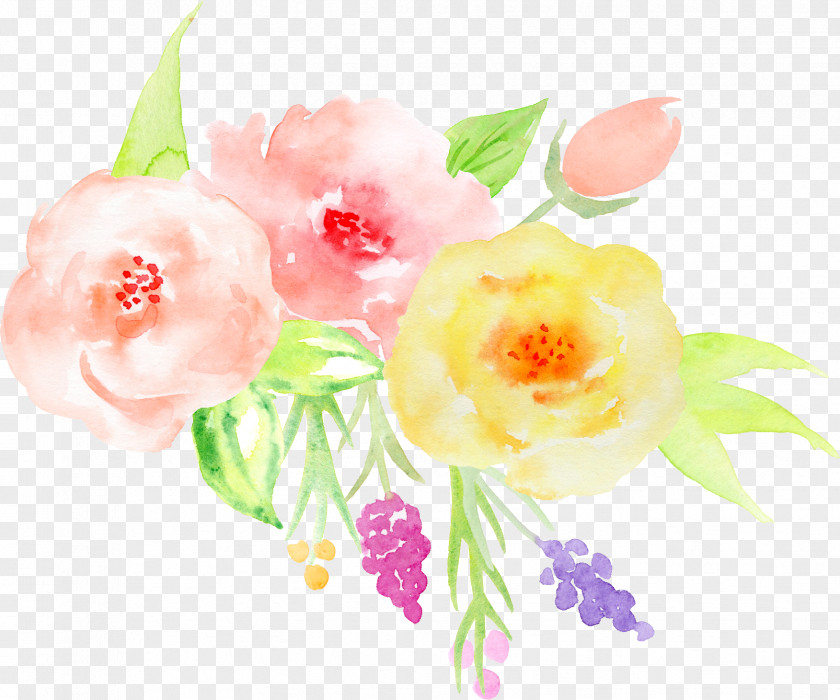 Hand-painted Watercolor Roses Decorative Elements PNG