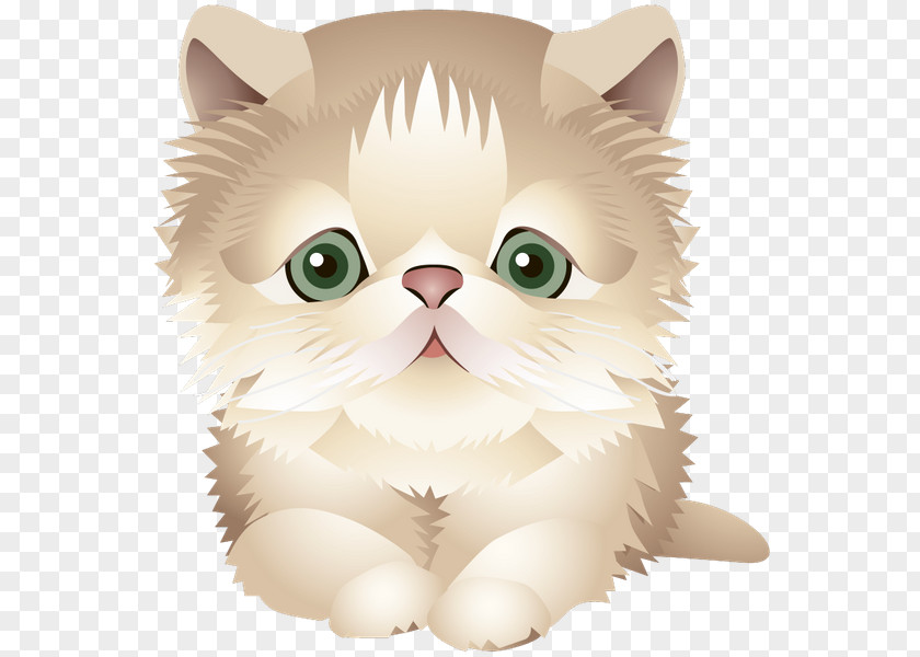 Kitten Whiskers Domestic Short-haired Cat Persian Exotic Shorthair PNG