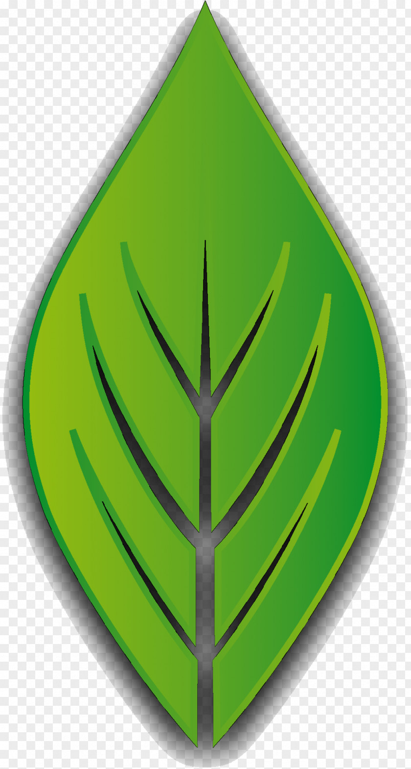 Leaf Font Tree Triangle PNG