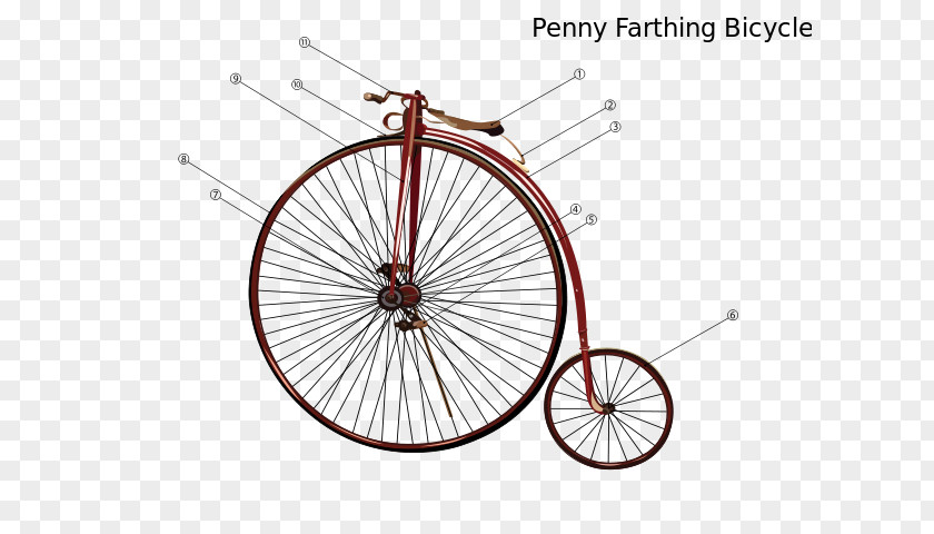 Pennyfarthing Bicycle Wheels Tires Frames Penny-farthing PNG