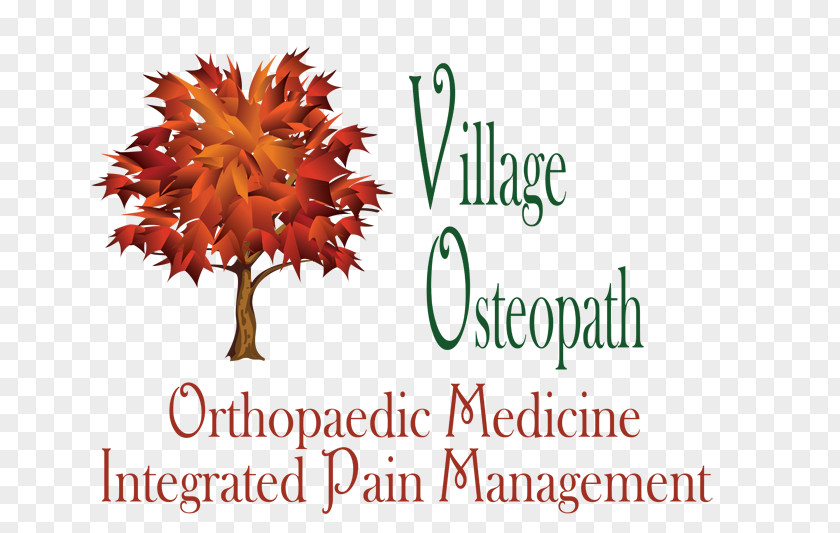 Village Osteopath Doctor Of Osteopathic Medicine Health Physician PNG