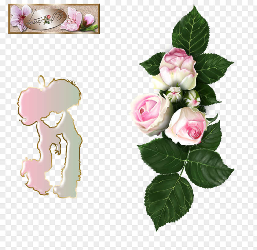 Creative Back To School Elements Garden Roses Cabbage Rose Floral Design Cut Flowers PNG