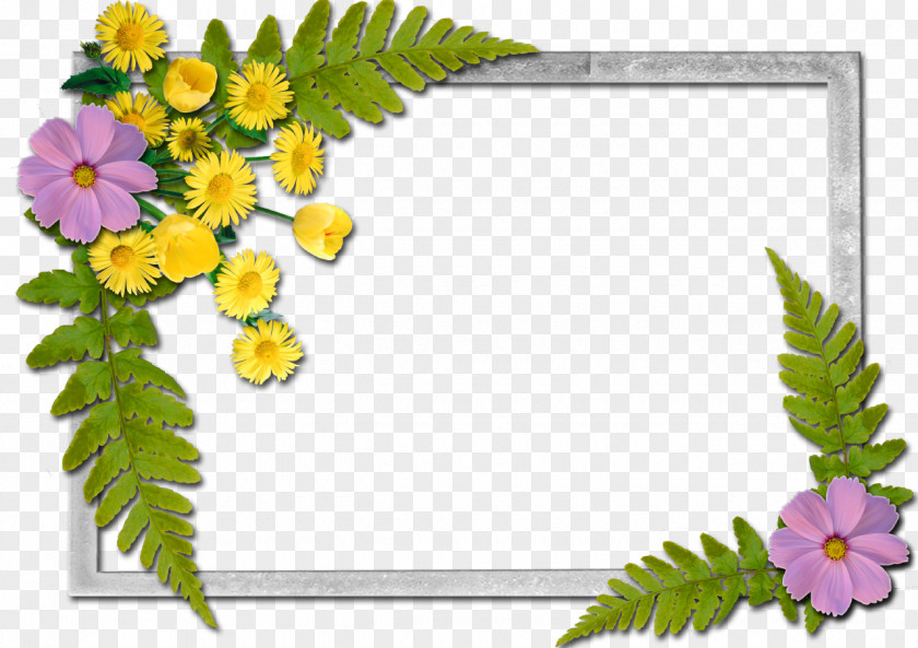 Flowers Frame Picture Frames Flower A Butterfly PNG