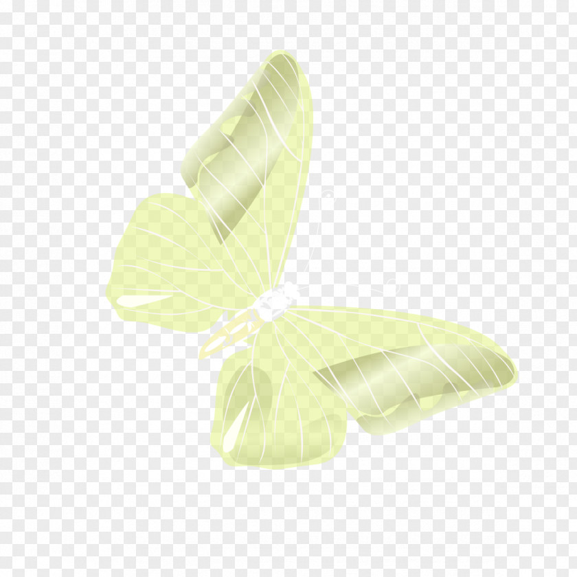 Purple Butterfly Angle Pattern PNG