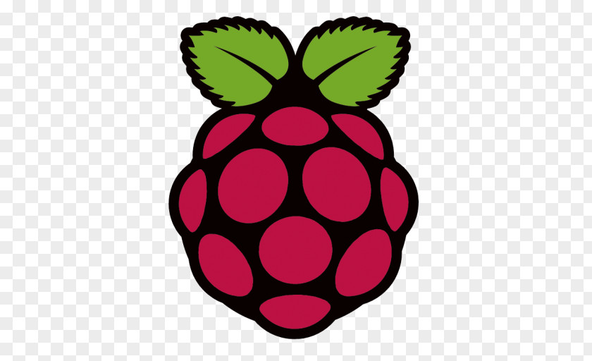 Raspberry Pi Raspbian Elektor OpenVPN Computer Software PNG