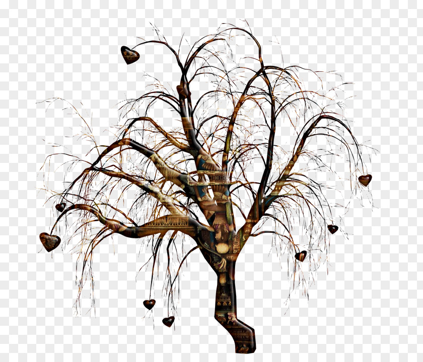 Tree Illustration Image Trunk PNG