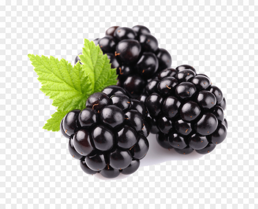 Blackberry Tayberry Fruit Raspberry PNG