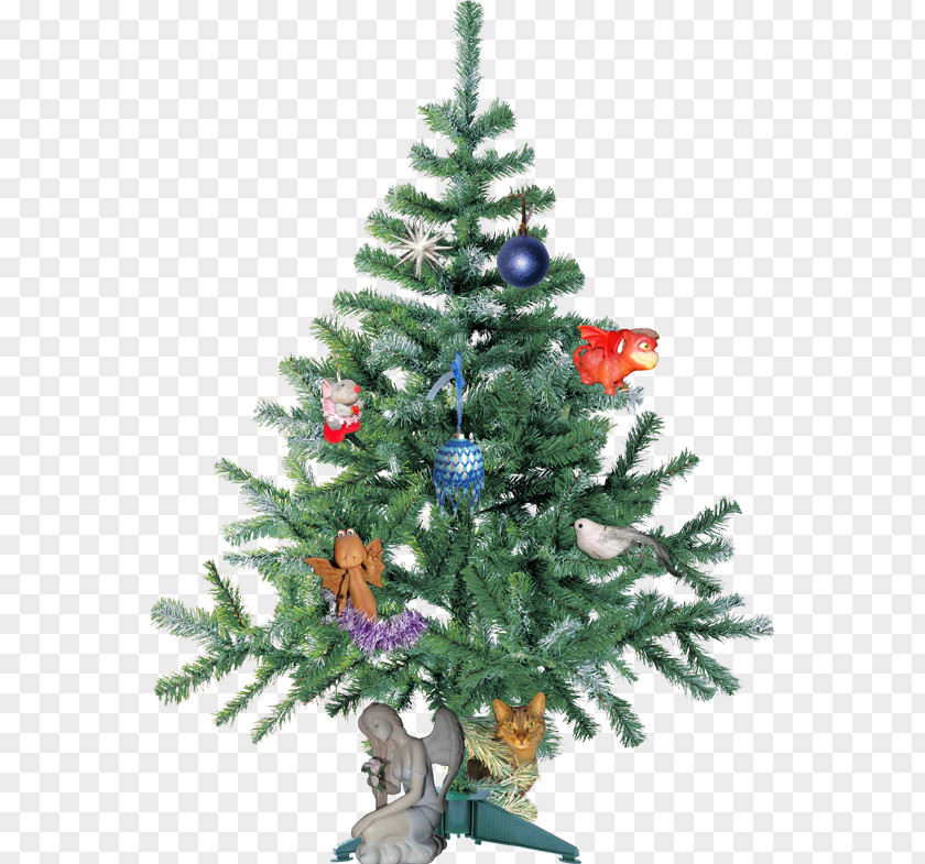 Christmas Tree New Year PNG