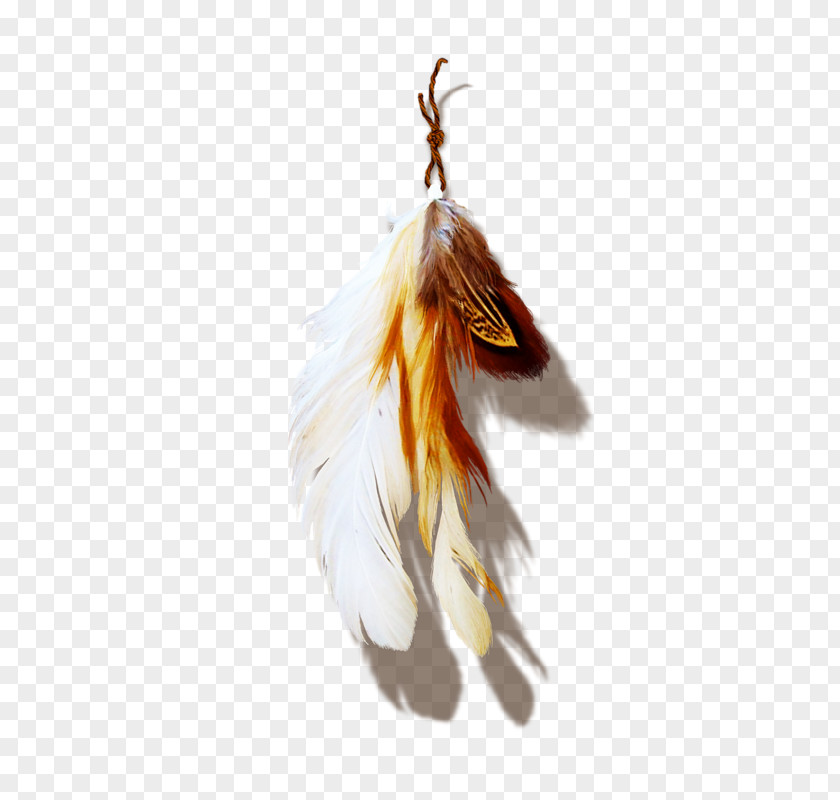 Feather Orange Clip Art PNG