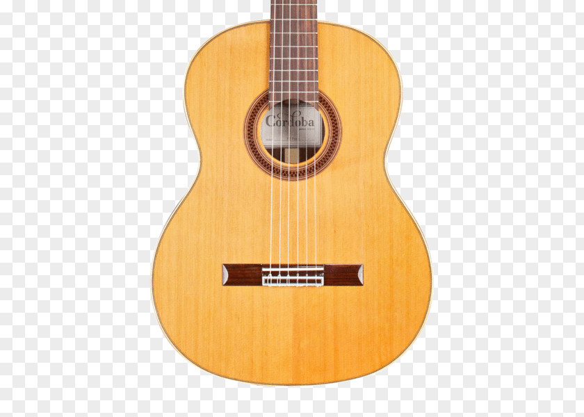 Guitar Cordoba GK Studio Classical Flamenco Acoustic PNG