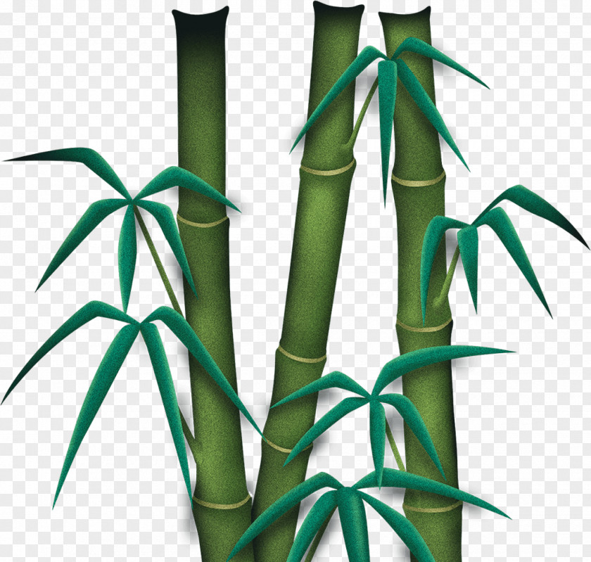 Ink Bamboo Material Plant Stem Line Family Font PNG