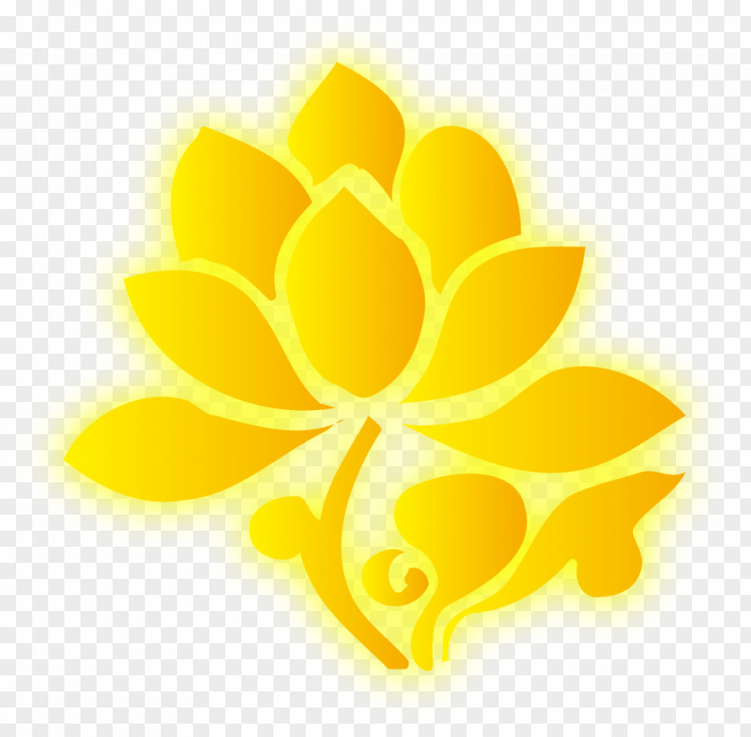 Lotus Nelumbo Nucifera Euclidean Vector PNG