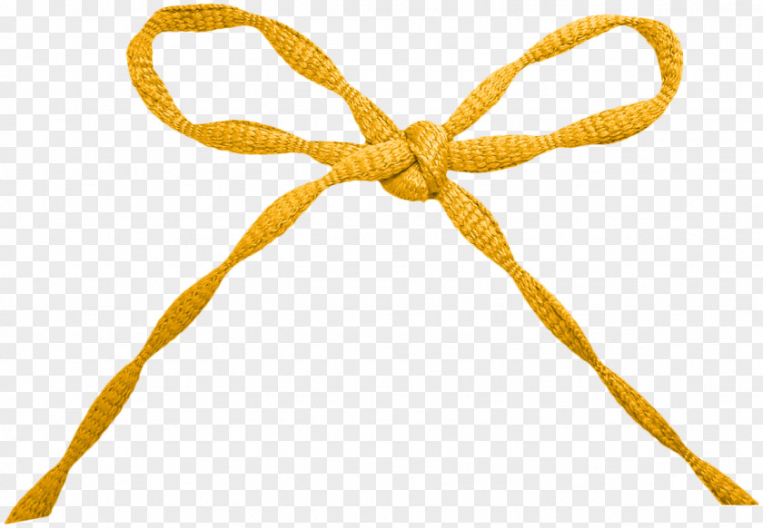 Orange Bow Rope Shoelace Knot Ribbon PNG