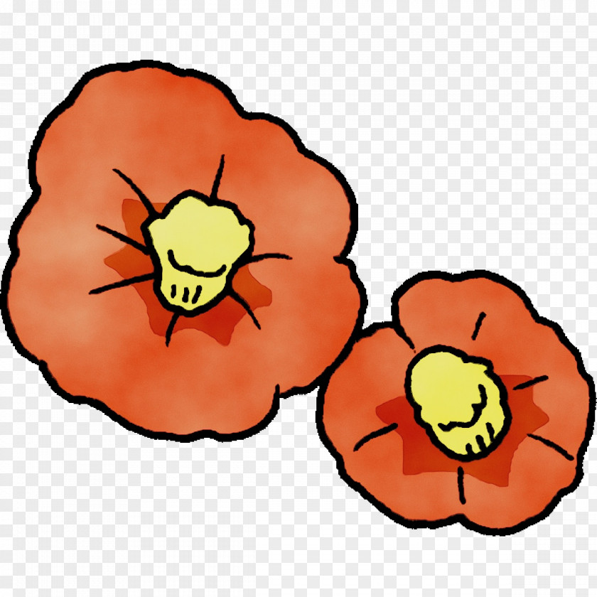 Petal Cut Flowers Flower Plants Biology PNG