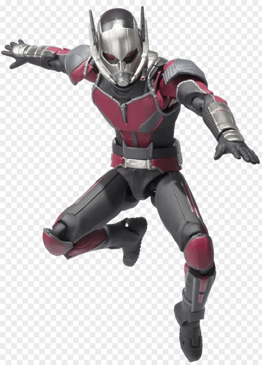 Ant Man Captain America Black Widow Action & Toy Figures S.H.Figuarts Marvel Legends PNG