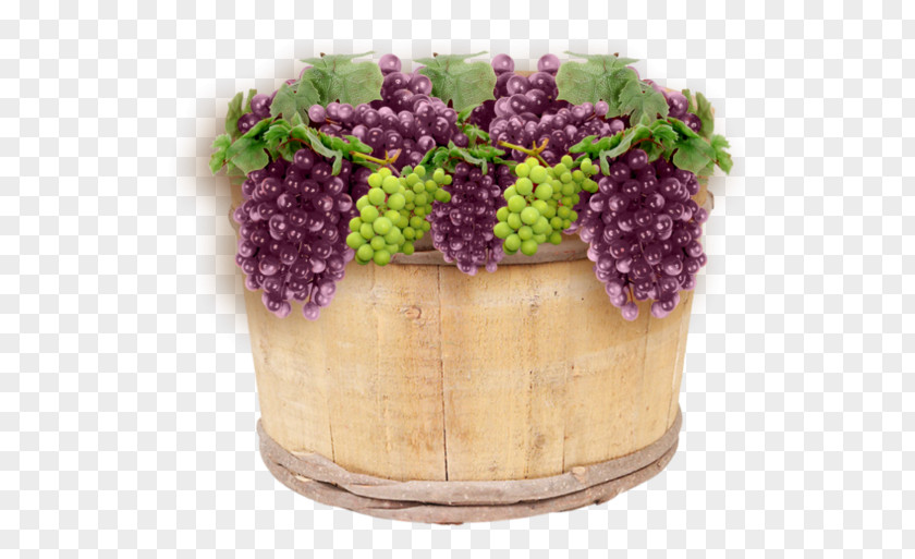 Grape Harvest Quotation Month PNG