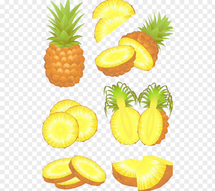 Pineapple Juice Slice Fruit PNG