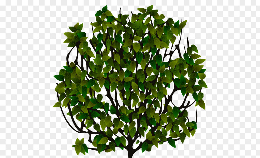 Bushes Top View Sprite Shrub 2D Computer Graphics Tree PNG