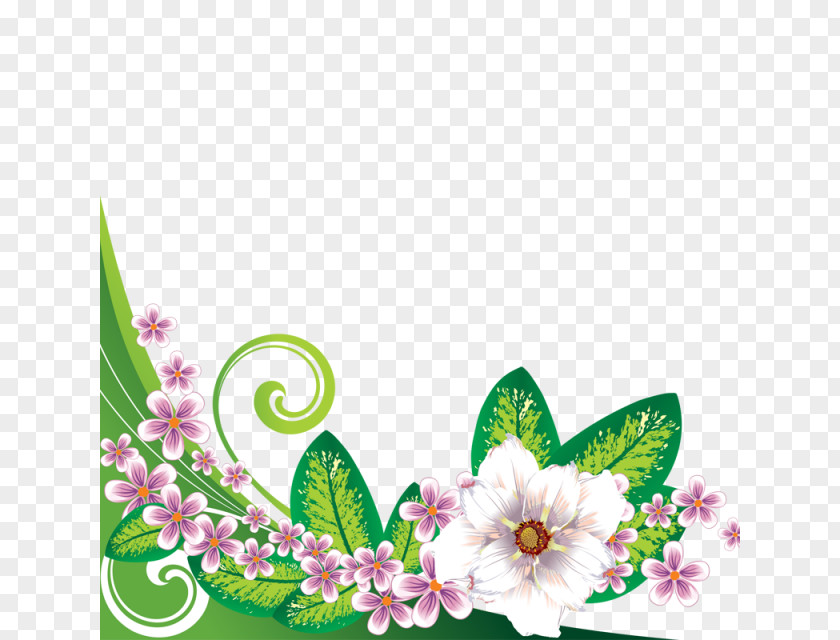 Flower Floral Design Image PNG