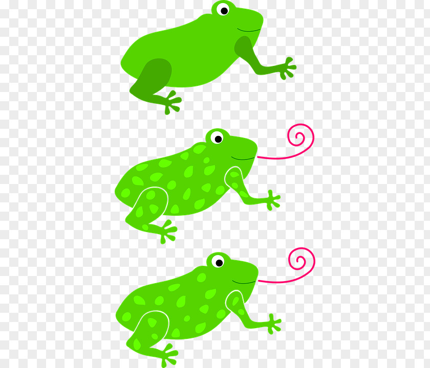 Frog Amphibian Clip Art PNG