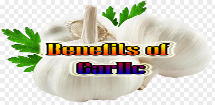 Garlic Benefits Honey Sauce Eating Food Spice PNG