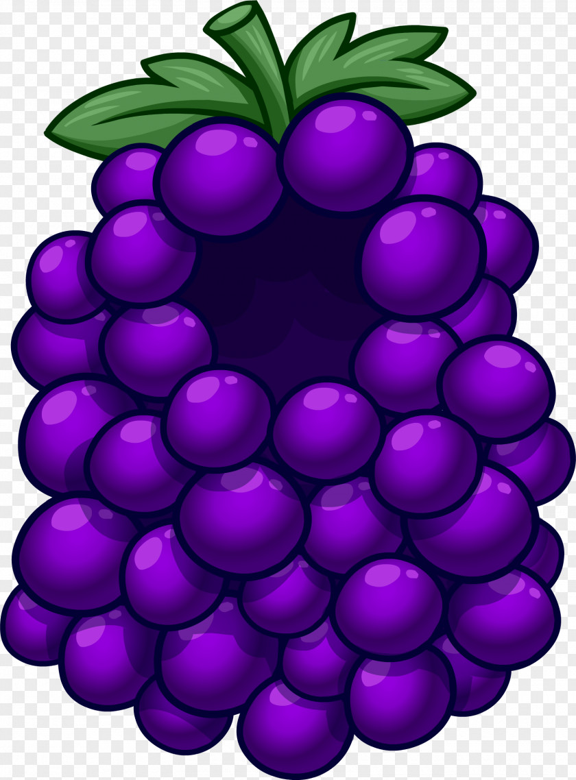 Grapes Grape Club Penguin Fruit Costume Purple PNG