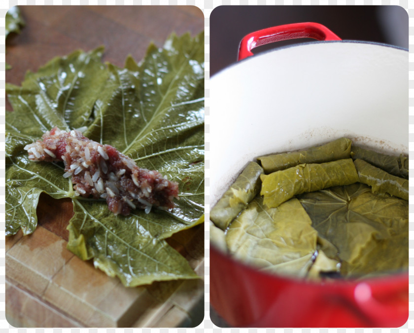 Stuffed Grape Leaves Chard Vegetarian Cuisine Recipe Dish Food PNG