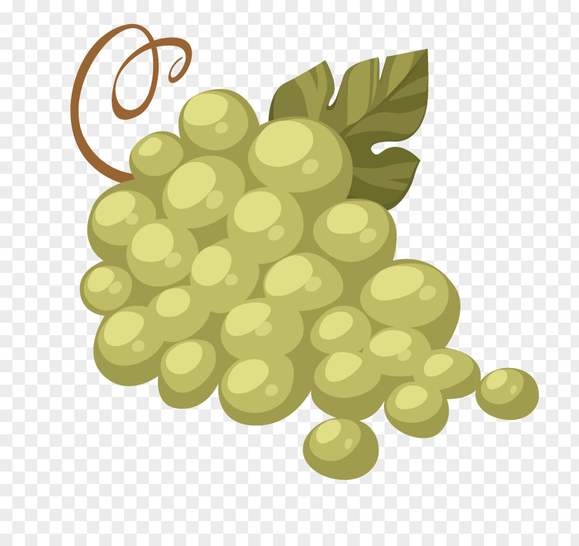 Vector Grapes Grape Fruit Peach Illustration PNG